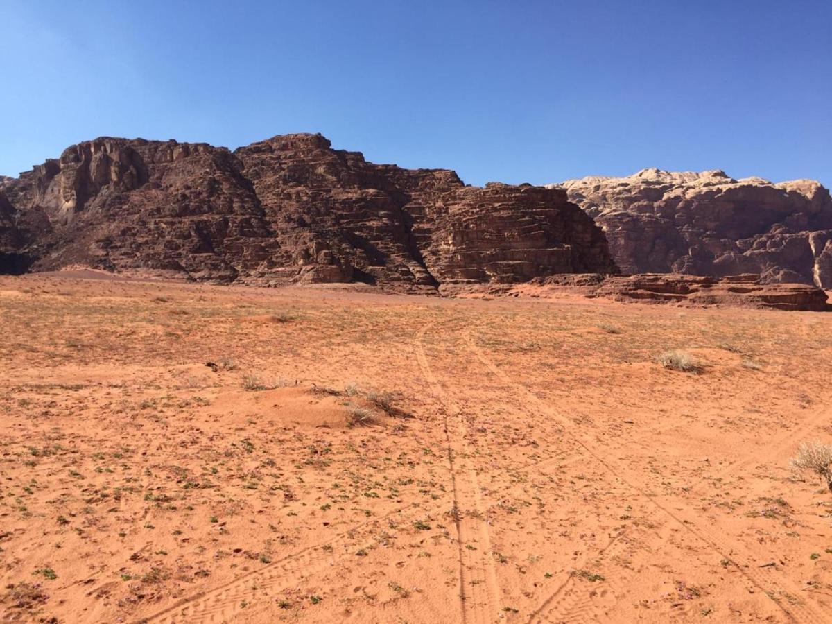 Wadi Rum Bedouin Experience 외부 사진