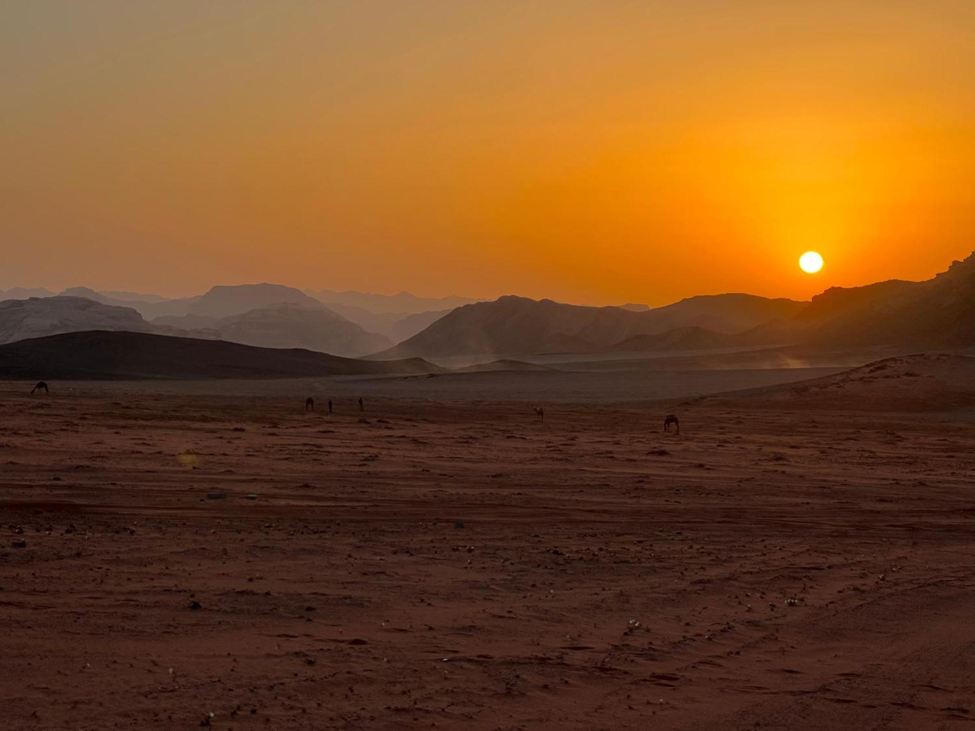 Wadi Rum Bedouin Experience 외부 사진