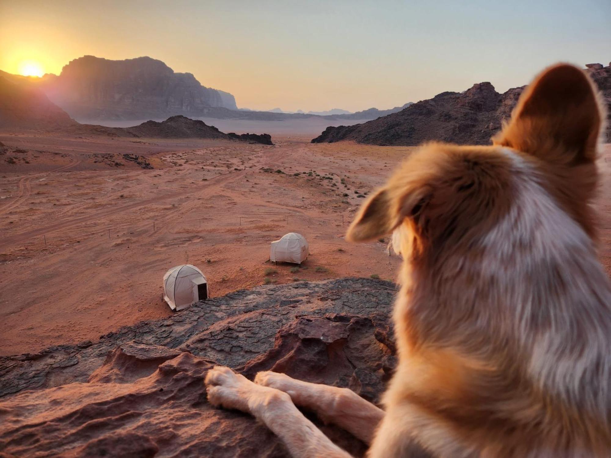 Wadi Rum Bedouin Experience 외부 사진