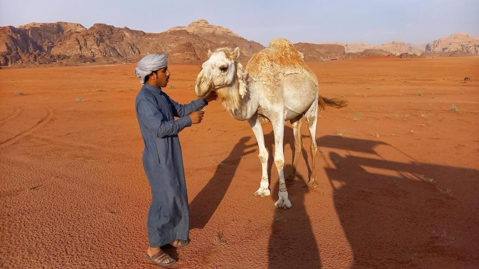 Wadi Rum Bedouin Experience 외부 사진